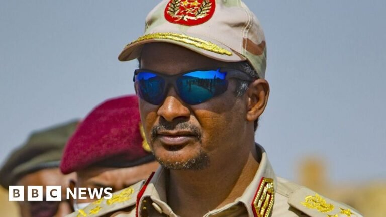 Sudan war: RSF chief promises investigation as anger mounts over el-Fasher killings