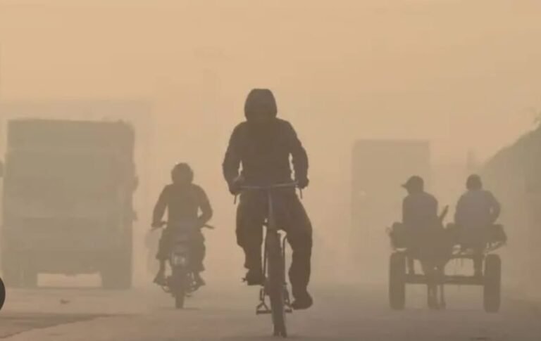 C&W Department Punjab Intensifies Efforts to Curb Smog