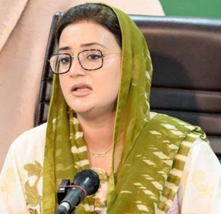 LAHORE: Punjab minister criticizes resigning judges, says judicial pen is a “sacred constitutional trust,