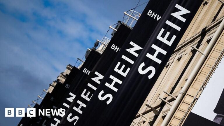 France investigates Shein and Temu after sex doll scandal