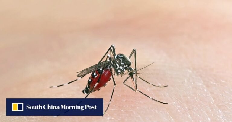 Chikungunya may be spreading silently in Hong Kong, expert says after fourth case