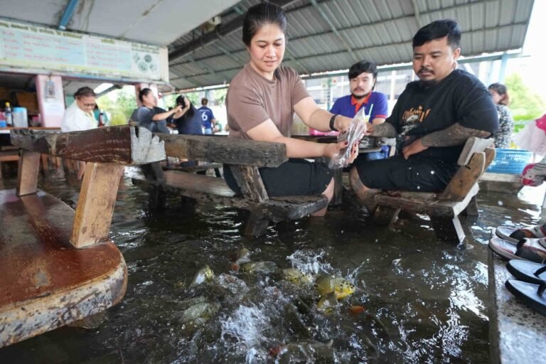 Diners at the Pa Jit restaurant take a video of fish in the aisles that come from recent floods. Photo: AP