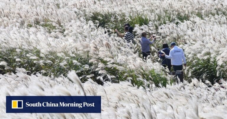 Jeju in ‘drug hub’ fear after ketamine disguised as Chinese tea washes ashore