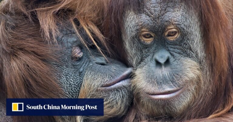 When was the first kiss? Probably around 20 million years ago, scientists say
