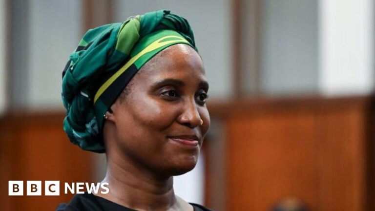 Duduzile Zuma-Sambudla: Trial of ex-South African President Jacob Zuma's daughter starts