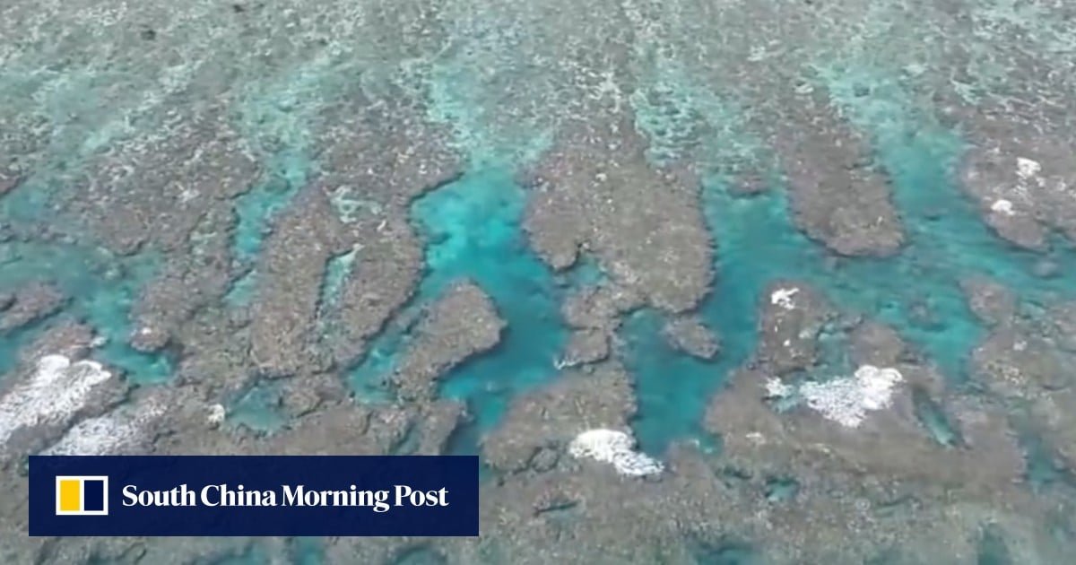 China gives disputed Scarborough Shoal a clean bill of health