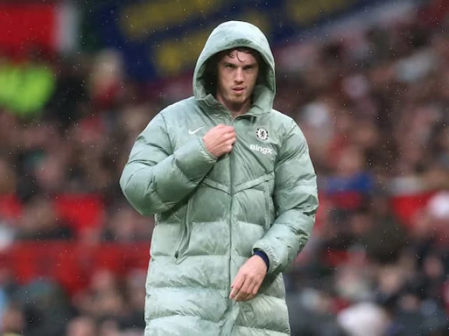  Palmer's Chelsea return delayed | The Express Tribune