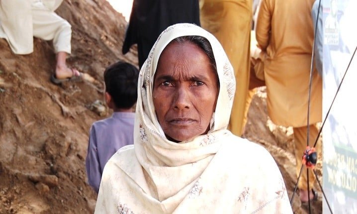 When a 50-year-old banyan tree breathed again  | The Express Tribune