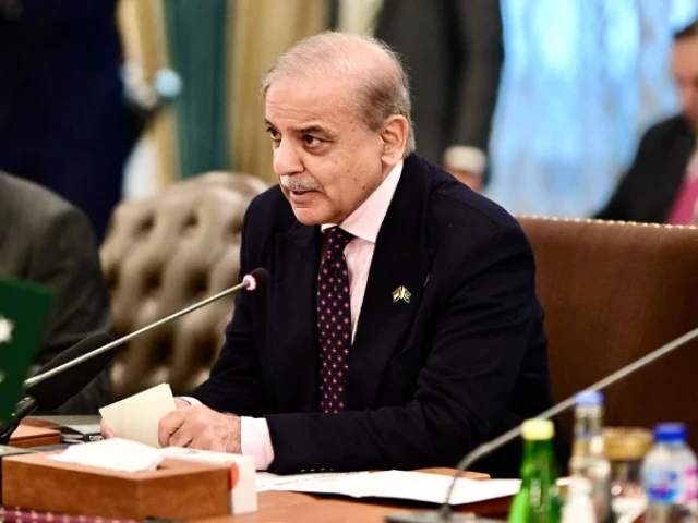 PM Shehbaz orders expert-led overhaul in railway system | The Express Tribune