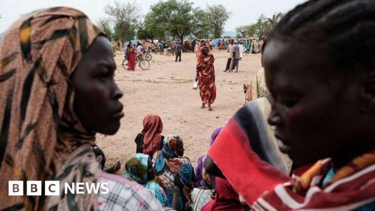 Deadly attack on kindergarten reported in Sudan