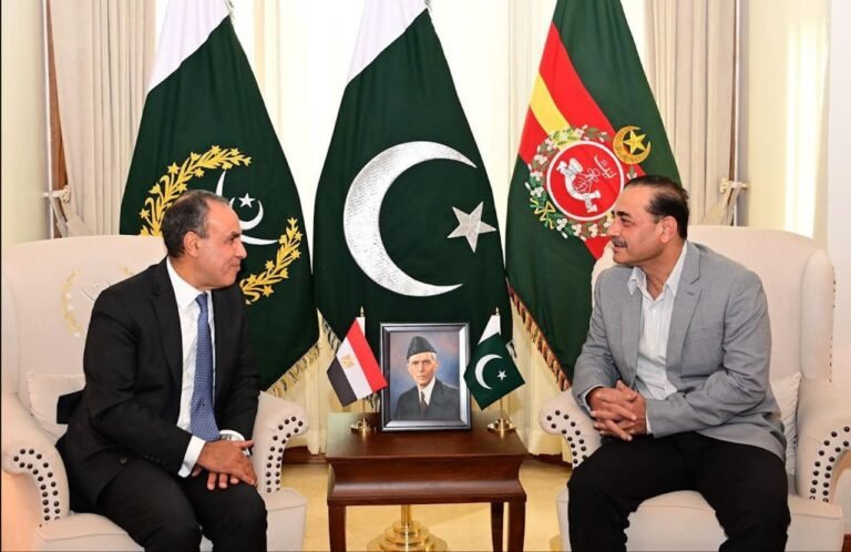 COAS, Egyptian Foreign Minister agree to deepen defence and strategic cooperation