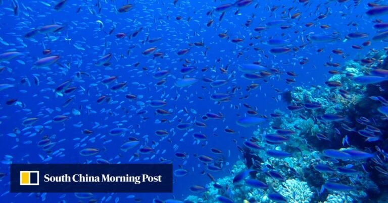 Senior Chinese diplomat takes swipe at US over deep-sea mining strategy