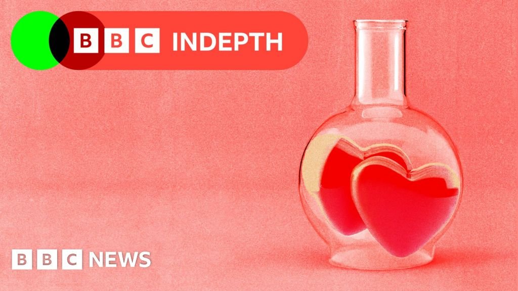 The science of soulmates: is there someone out there exactly right for you? 3 The science of soulmates: is there someone out there exactly right for you?