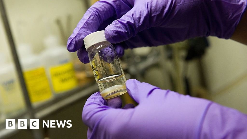 Single vaccine could protect against all coughs, colds and flus, researchers say 3 Single vaccine could protect against all coughs, colds and flus, researchers say