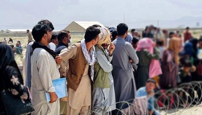 Joint Security Operation Across 5 Districts — Over 100 Illegal Afghan Nationals Detained 59 IMG 20260221 WA0362