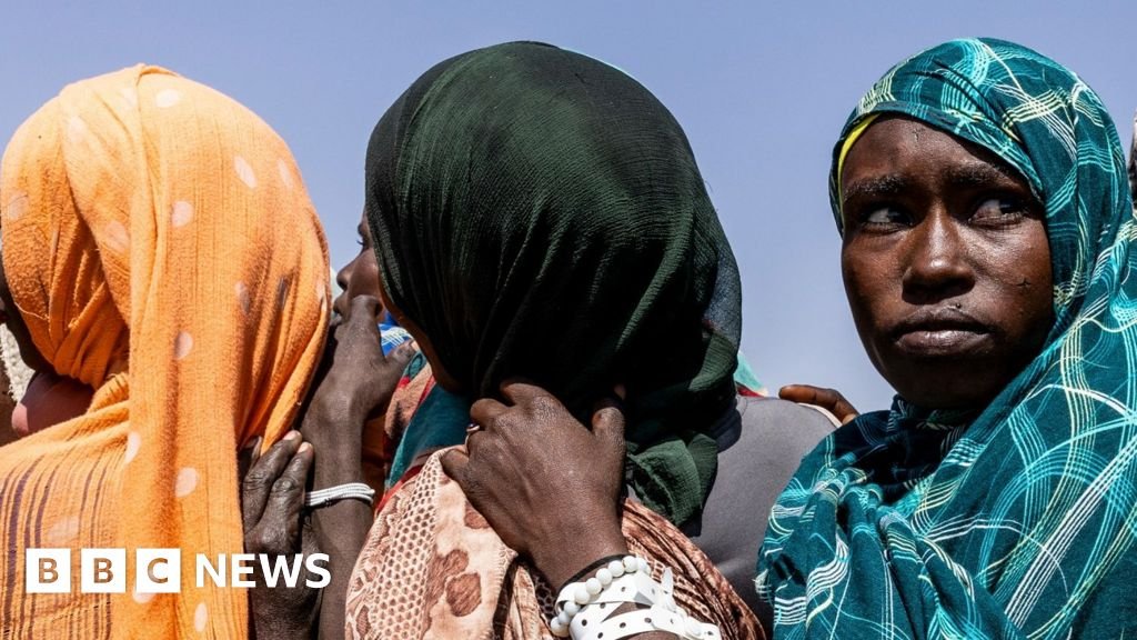 Sudan civil war: RSF war crimes saw 6,000 killed in three days in el-Fasher, UN says 33 Sudan civil war: RSF war crimes saw 6,000 killed in three days in el-Fasher, UN says