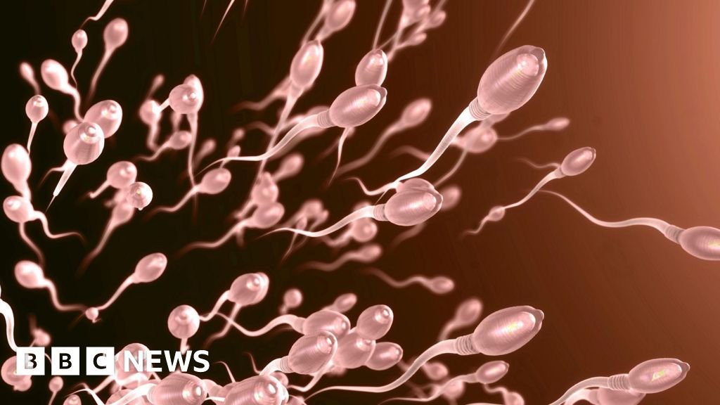 Sperm swim more quickly in summer, study finds 13 Sperm swim more quickly in summer, study finds