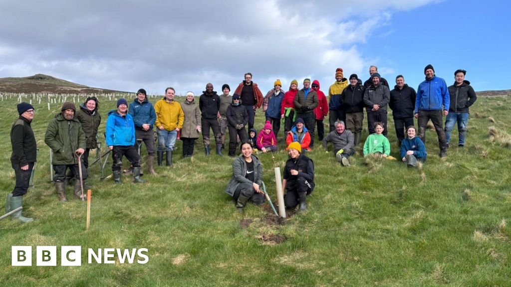 30,000 trees planted to create Isle of Man temperate rainforest 29 30,000 trees planted to create Isle of Man temperate rainforest