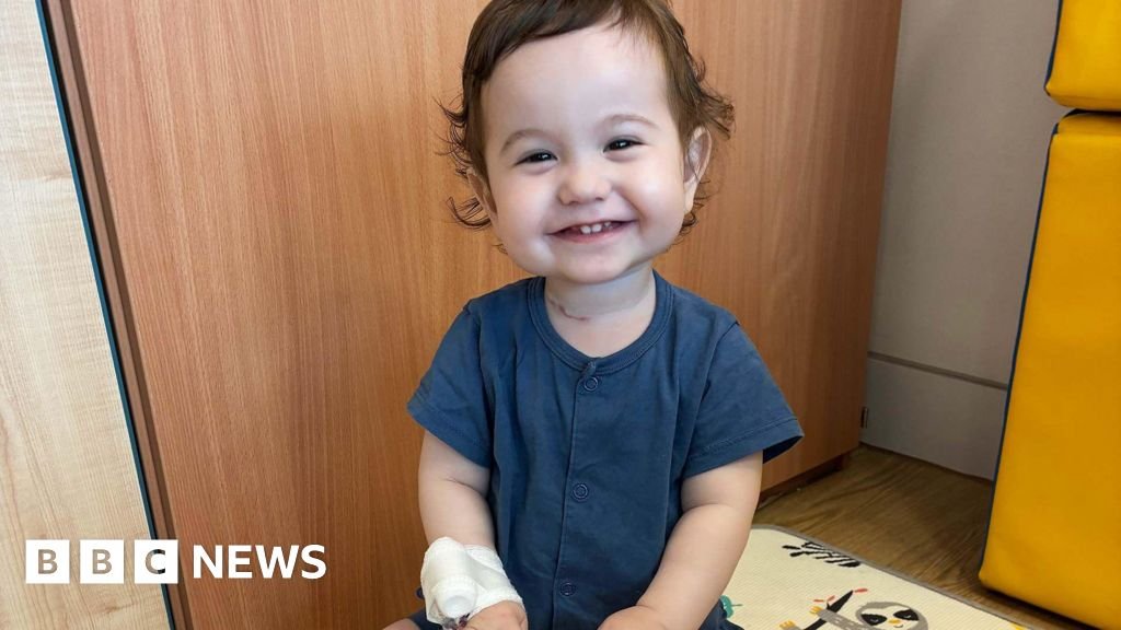 Lab-grown food pipe implanted in pigs offers new hope for young patients 16 Lab-grown food pipe implanted in pigs offers new hope for young patients