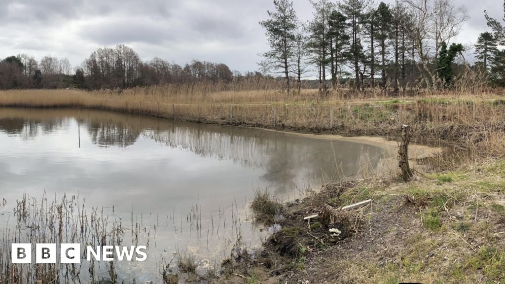 Oil giant, Perenco, forced to pay £6m after Poole Harbour spill 14 Oil giant, Perenco, forced to pay £6m after Poole Harbour spill