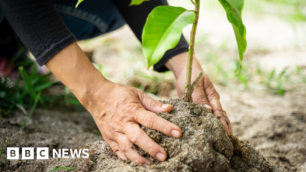 Staffordshire Moorlands District Council offers funding for green initiatives 17 Staffordshire Moorlands District Council offers funding for green initiatives