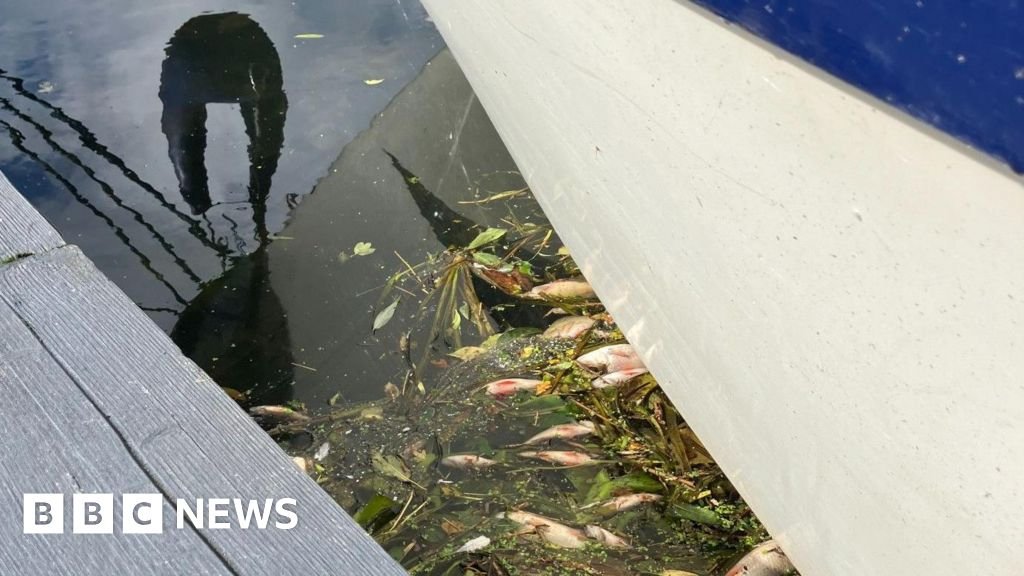 Why no prosecutions over Whittlesey dead fish, questions MP 40 Why no prosecutions over Whittlesey dead fish, questions MP