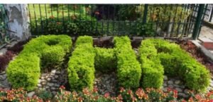 PHA Directs District Horticulture Agencies to Boost Own-Source Revenue 2 IMG 20260313 WA3092