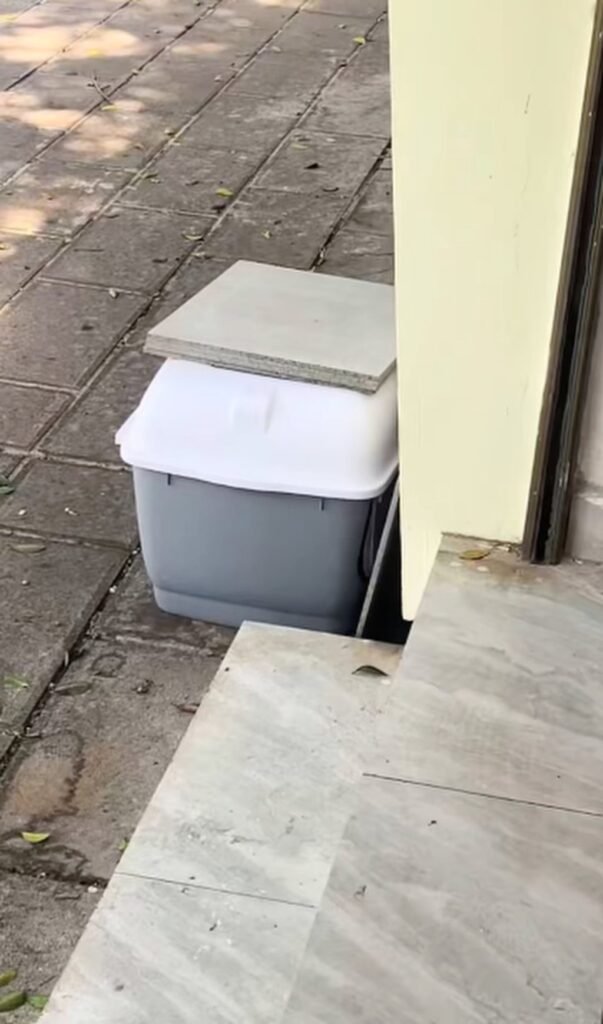 China pet shop boss finds dumped cat with note, cash from elderly facing surgery 9 The shop owner found the kitten inside the pet carrier, above, which had been left outside her business. Photo: Douyin