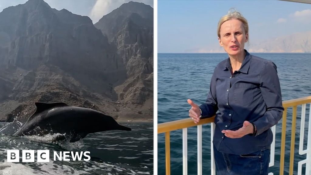 We are at the edge of a battlefield: BBC reports near Strait of Hormuz 78 'We are at the edge of a battlefield': BBC reports near Strait of Hormuz