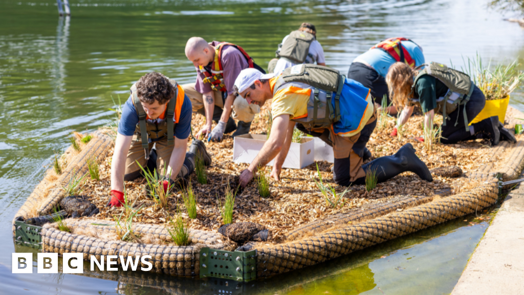 Floating wetlands plan to boost Portsmouths coastal ecosystem 13 Floating wetlands plan to boost Portsmouth's coastal ecosystem