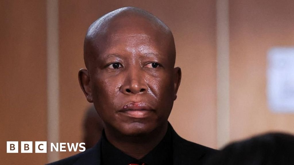 Julius Malema: South African opposition figure sentenced to five years 36 Julius Malema: South African opposition figure sentenced to five years