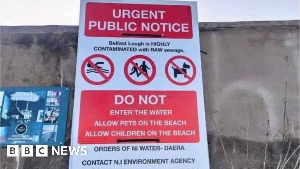 Belfast Lough: Raw sewage posters at lough not official, says Andrew Muir 3 Belfast Lough: 'Raw sewage' posters at lough not official, says Andrew Muir