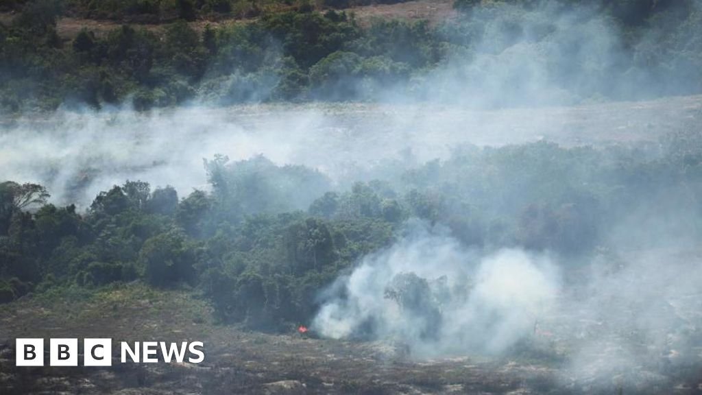 Global forest loss slows but El Niño fires could threaten progress 14 Global forest loss slows but El Niño fires could threaten progress