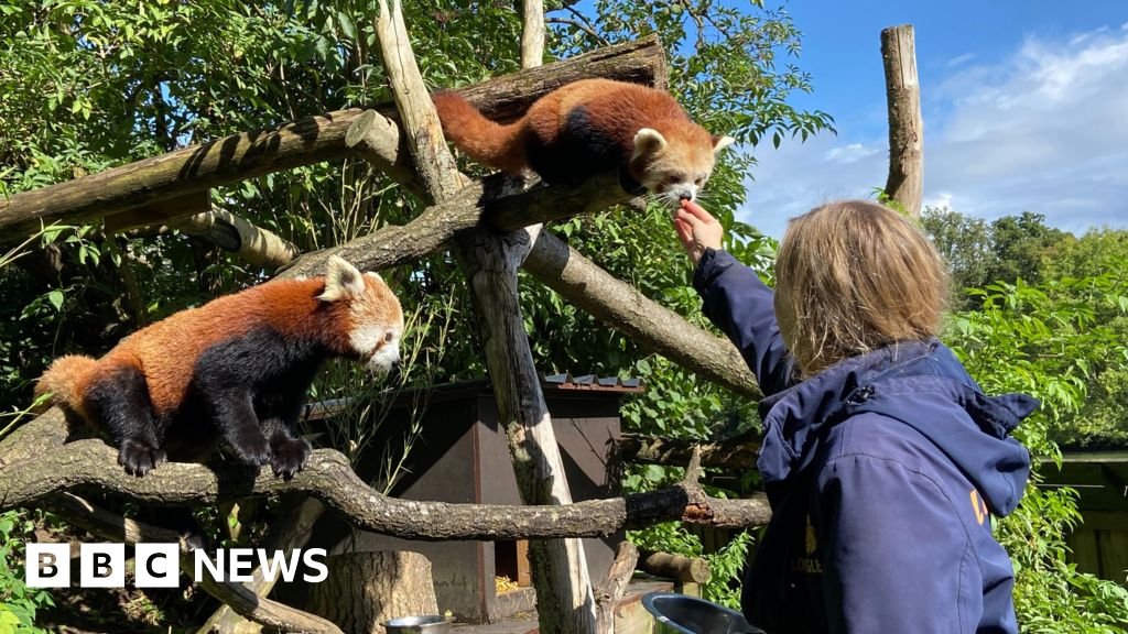 Longleat: Worlds first safari park celebrates 60 years 51 Longleat: World's first safari park celebrates 60 years
