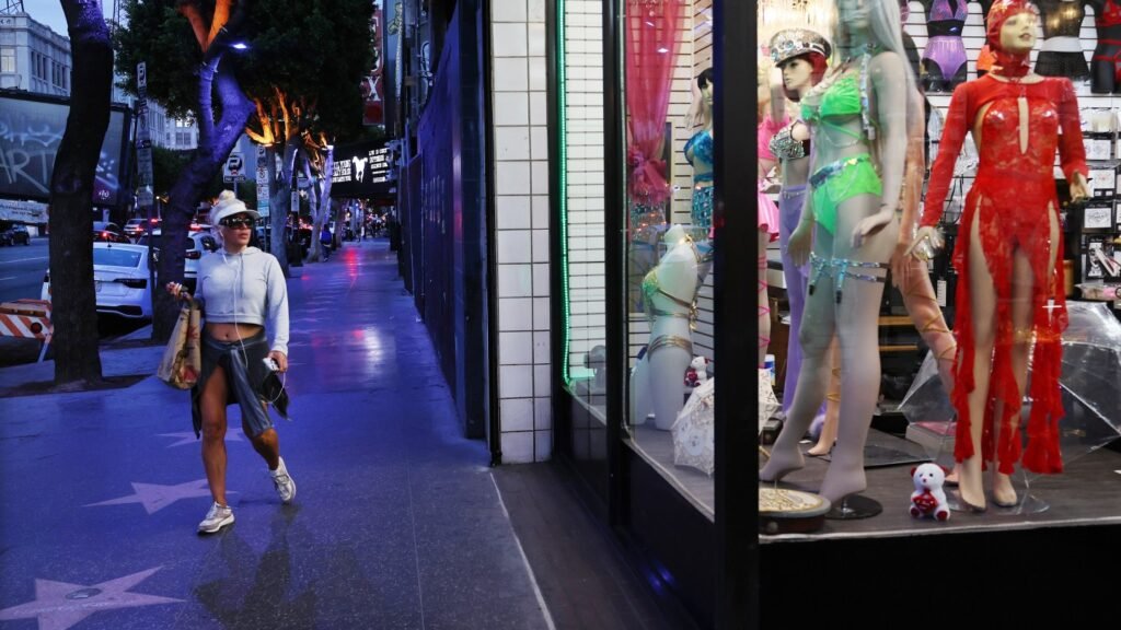 Hollywoods Brand Died on Hollywood Boulevard. Heres How We Can Change That. 51 Hollywood’s Brand Died on Hollywood Boulevard. Here’s How We Can Change That.