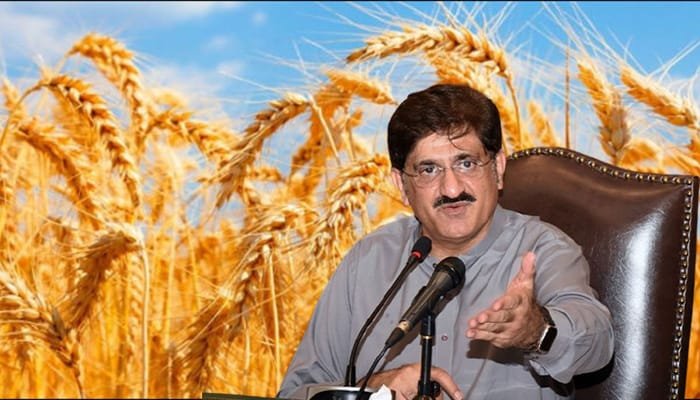 Sindh CM Murad Ali Shah Removes Wheat Sale Limit – Big Relief for Small Farmers 22 IMG 20260420 WA2027