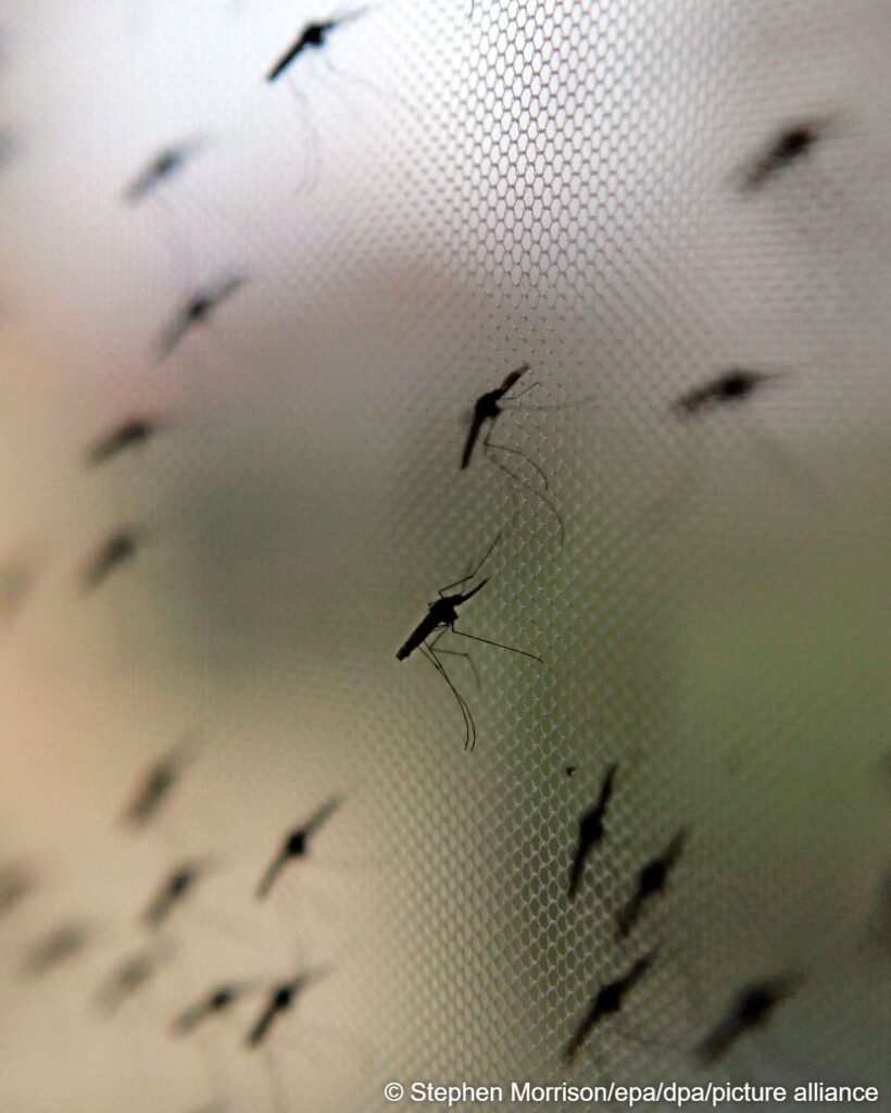 WHO Approves First-Ever Malaria Drug for Infants 4 IMG 20260425 WA0581