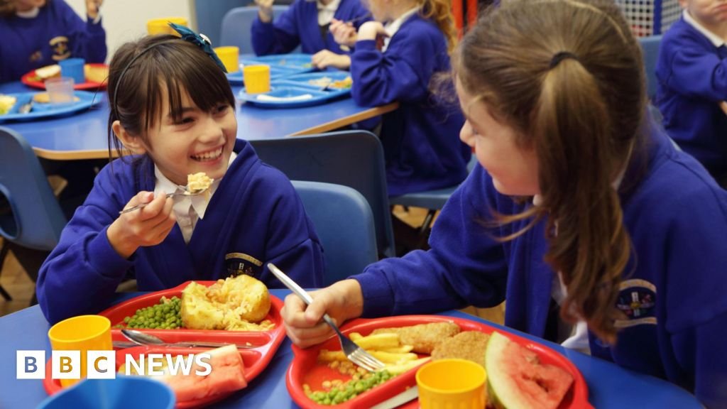 Deep-fried food banned in new plans for school dinners 10 Deep-fried food banned in new plans for school dinners