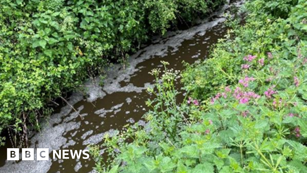 Dorset farm companies pay out to charity after slurry incidents 3 Dorset farm companies pay out to charity after slurry incidents