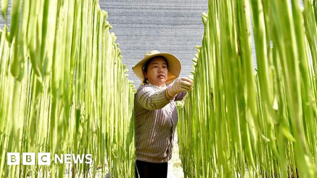 China should stop hoarding food and fertiliser, says former World Bank chief 3 China should stop hoarding food and fertiliser, says former World Bank chief