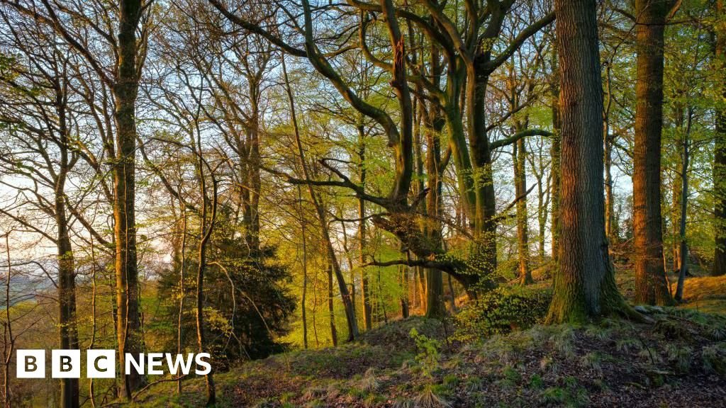 Sir David Attenborough inspires creation of nature recovery zones 14 Sir David Attenborough inspires creation of nature recovery zones
