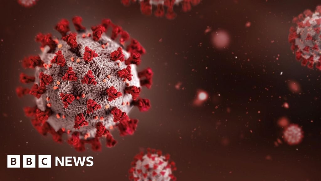 Africa summit in India postponed over Ebola outbreak fears 3 Africa summit in India postponed over Ebola outbreak fears