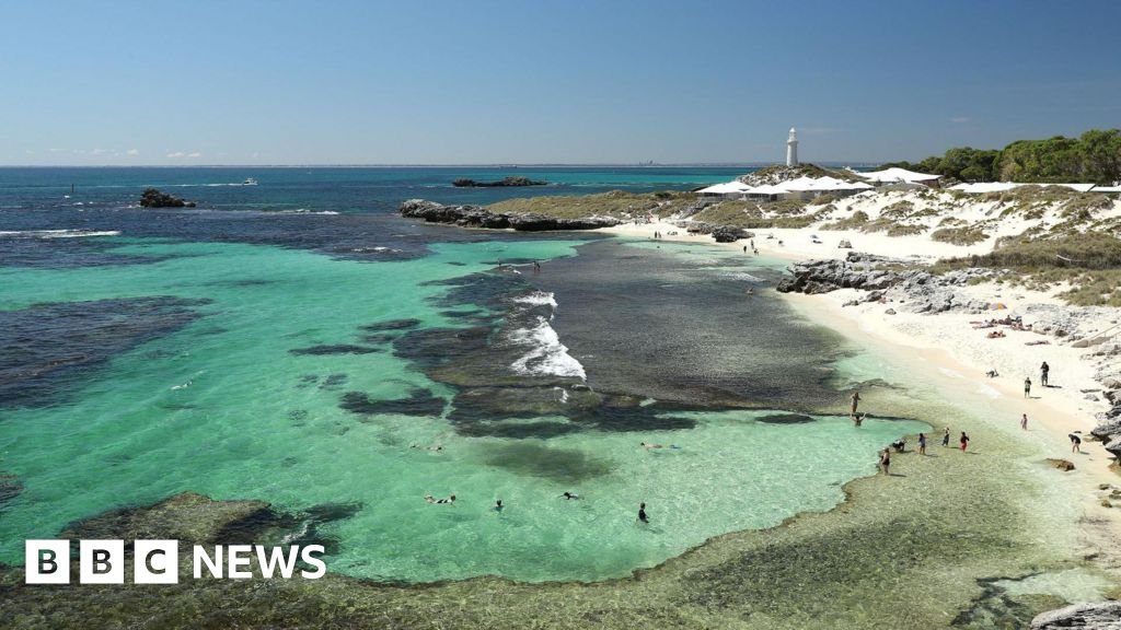 Man killed by 13ft great white shark in Western Australia 27 Man killed by 13ft great white shark in Western Australia