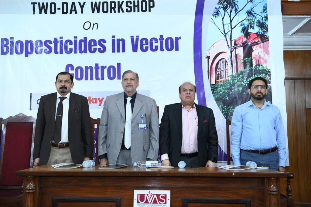 Debating Gala 2026 in Commemoration of Marka-e-Haq Concludes at UVAS 6 IMG 20260511 WA2265