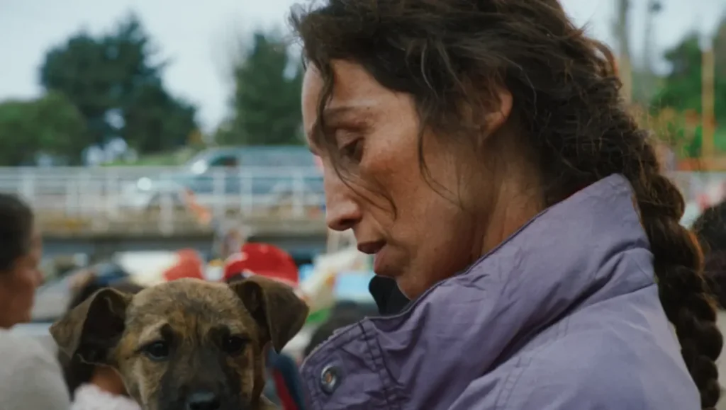 Female Dogs and Directors Dominate Palm Dog Awards 27 Female Dogs and Directors Dominate Palm Dog Awards