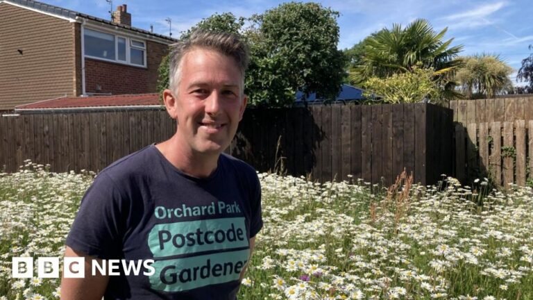 'Right to grow' helping wild flowers bloom in Hull