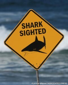 Man Killed in Shark Attack Off Western Australia — Third Fatal Incident in Three Weeks 1 IMG 20260606 WA2225