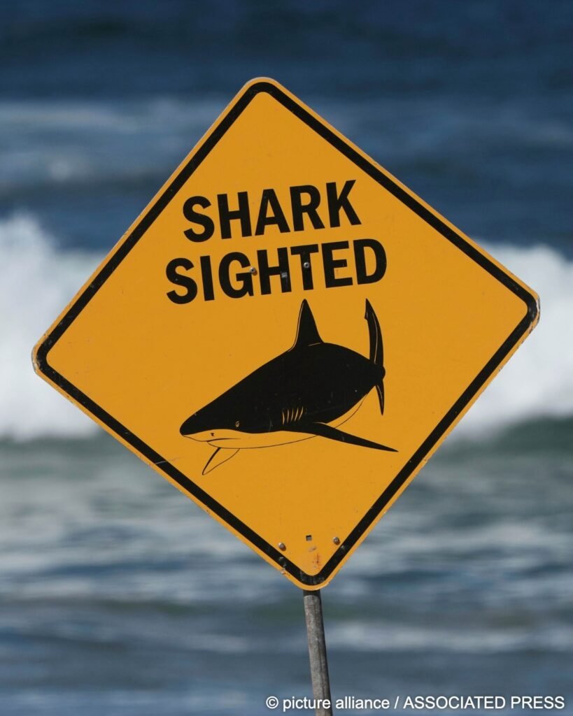 Man Killed in Shark Attack Off Western Australia — Third Fatal Incident in Three Weeks 22 IMG 20260606 WA2225