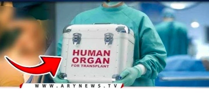 Illegal Kidney Transplant Attempt Foiled at Private Hospital in Kasur; Three Arrested 3 IMG 20260622 WA2722
