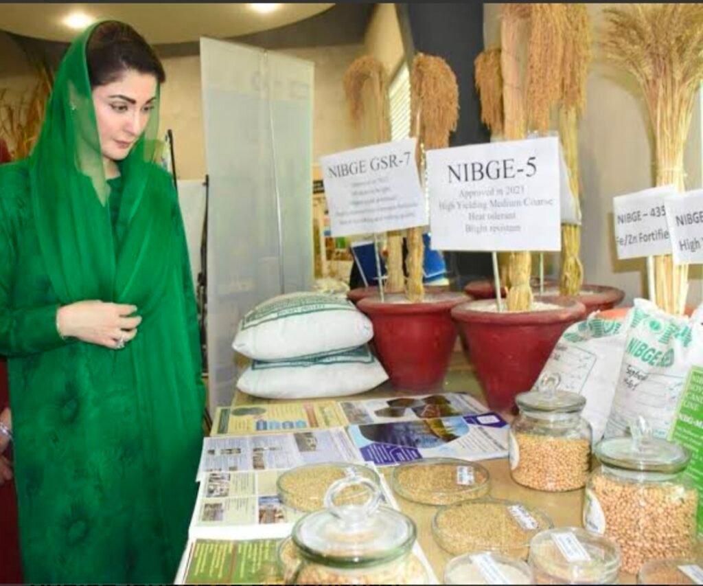 Punjab Launches Four Major Initiatives to Modernise Agricultural Markets 27 IMG 20260630 WA2582